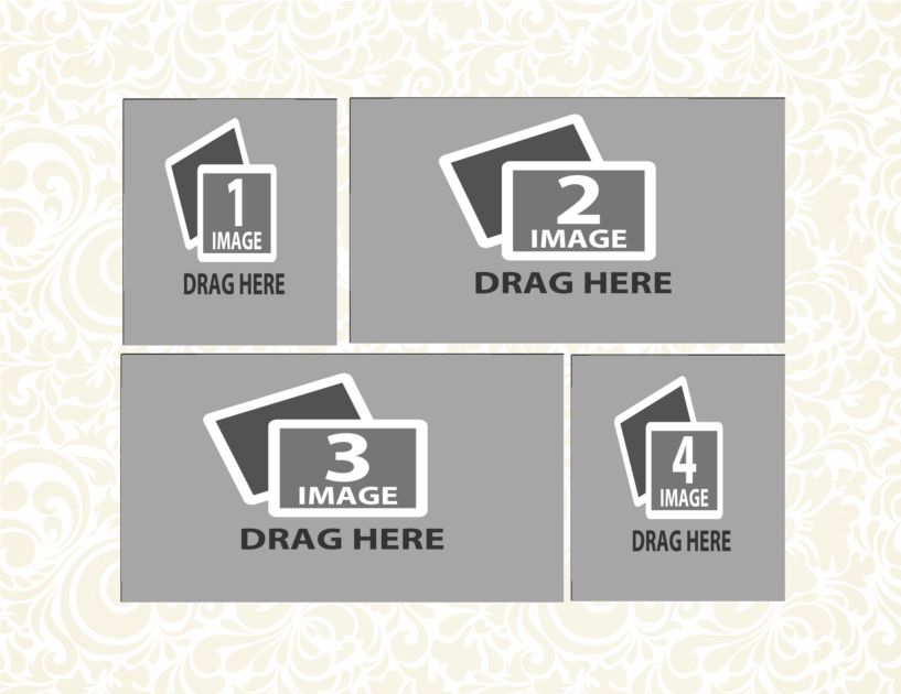 d53 copy copy.png