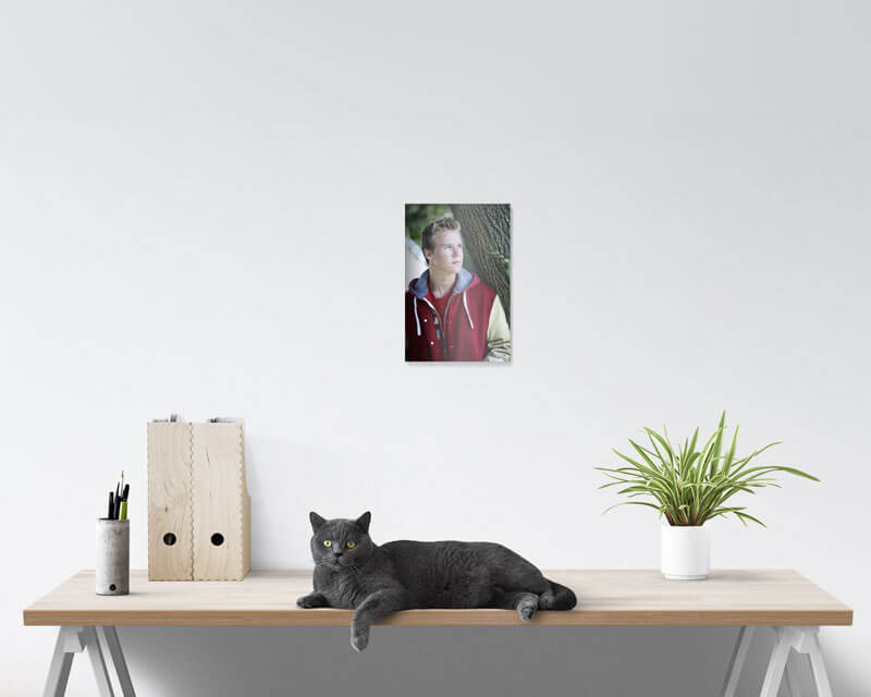 5x10 Metal Prints